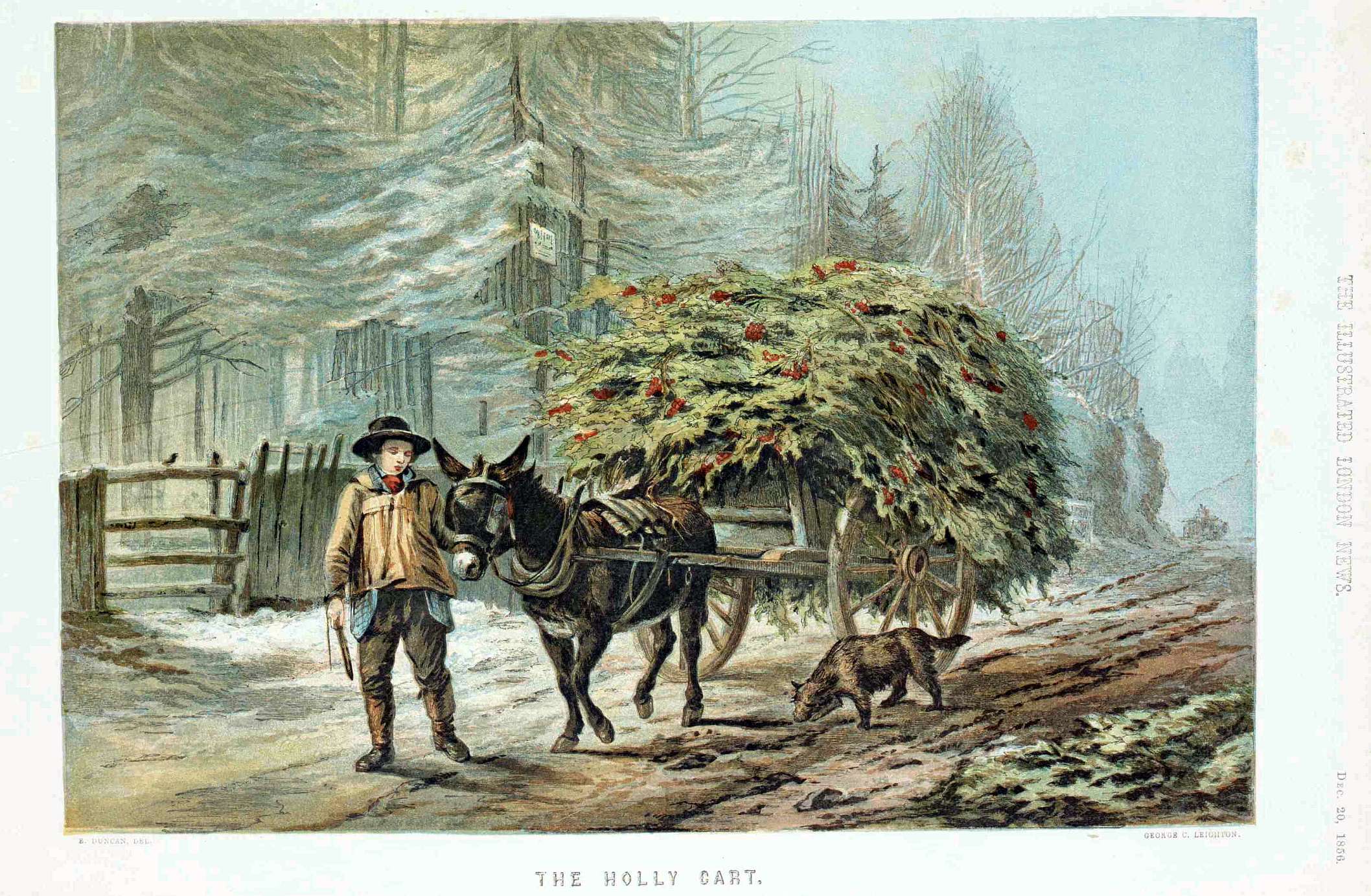 1856 colour holly  cart